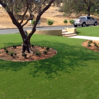 Artificial Grass Green Acres, California Roof Top, Front Yard Ideas