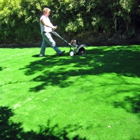 Artificial Grass Highgrove, California Landscape Rock, Backyard Landscape Ideas