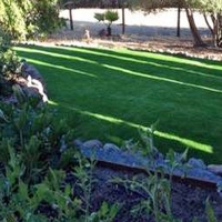 Artificial Grass Lake Elsinore, California Landscape Ideas, Small Backyard Ideas