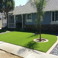 Artificial Lawn Lakeview, California Landscaping Business, Front Yard Landscaping