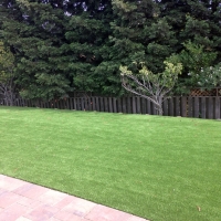 Artificial Lawn Mountain Center, California Landscape Photos, Beautiful Backyards