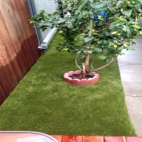 Artificial Turf Idyllwild-Pine Cove, California Pet Paradise, Backyard