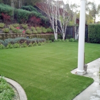 Artificial Turf Installation Glen Avon, California Landscape Photos, Backyard Landscaping Ideas