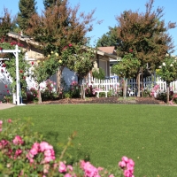 Artificial Turf Installation Mountain Center, California City Landscape, Front Yard Ideas