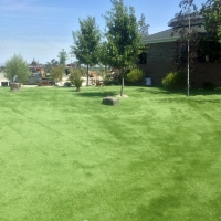 Best Artificial Grass Lakeland Village, California Hotel For Dogs, Parks