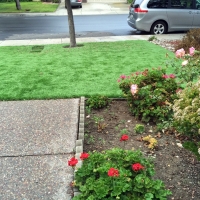 Fake Grass Rubidoux, California Watch Dogs, Front Yard Landscaping