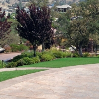 Fake Lawn Indio, California Backyard Deck Ideas, Front Yard Design