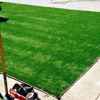 Fake Lawn Mesa Verde, California Landscape Ideas