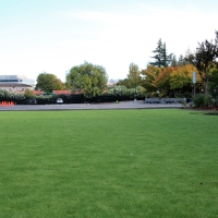 Fake Lawn Rubidoux, California Playground Turf