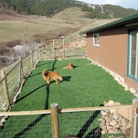 Faux Grass Thousand Palms, California Rooftop, Backyard Design