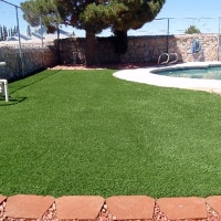 Grass Carpet Moreno Valley, California Cat Playground, Above Ground Swimming Pool