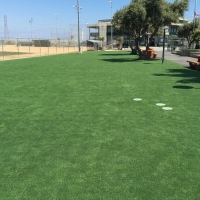 Grass Turf Homeland, California Gardeners, Parks