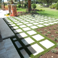 Grass Turf Mira Loma, California Landscape Design, Backyard Design