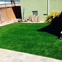 Green Lawn Murrieta, California Hotel For Dogs, Backyard