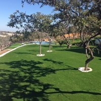 Lawn Services Valle Vista, California Home And Garden, Backyard Makeover