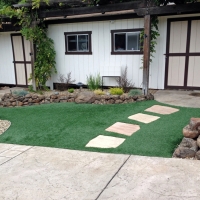 Outdoor Carpet Green Acres, California Landscape Design, Front Yard Landscape Ideas