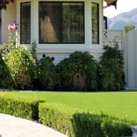 Outdoor Carpet Murrieta, California Gardeners, Front Yard Ideas