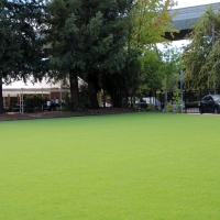 Outdoor Carpet Murrieta, California Lawns, Commercial Landscape