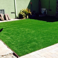 Plastic Grass Palm Desert, California Pictures Of Dogs, Grass for Dogs