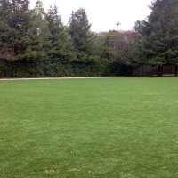 Plastic Grass Sky Valley, California Design Ideas, Recreational Areas