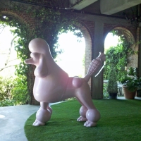 Synthetic Grass Mortmar, California Fake Grass For Dogs, Backyard Designs