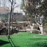 Synthetic Lawn Cathedral City, California Backyard Deck Ideas, Backyard Designs