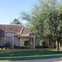 Synthetic Lawn Thousand Palms, California Backyard Playground, Front Yard Landscaping Ideas