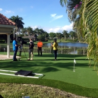 Synthetic Turf Green Acres, California Backyard Putting Green, Backyard