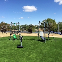 Turf Grass Banning, California Playground Safety, Recreational Areas