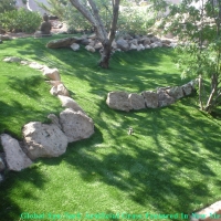 Turf Grass Idyllwild, California Landscaping, Commercial Landscape