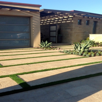 Artificial Grass Anza, California Rooftop, Front Yard Landscape Ideas