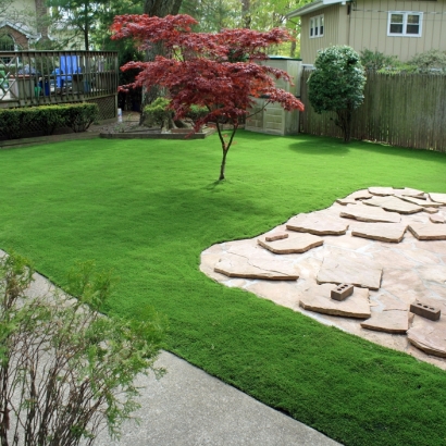 Artificial Grass Blythe, California Backyard Playground, Backyard Landscape Ideas