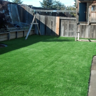 Artificial Grass Calimesa, California Lawn And Garden, Backyard Makeover