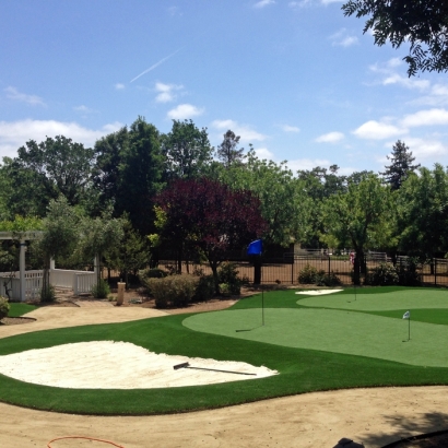 Artificial Grass Carpet Canyon Lake, California Backyard Deck Ideas, Front Yard Design