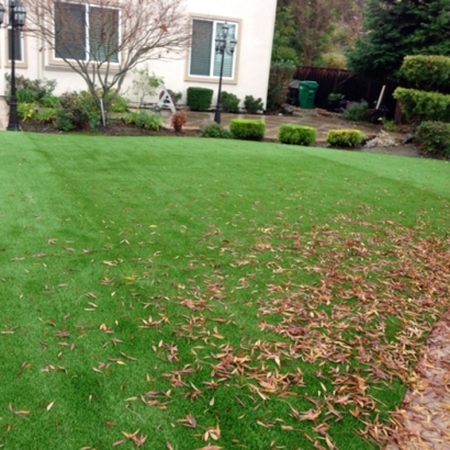 Artificial Grass Carpet Lakeland Village, California Backyard Deck Ideas, Backyard Makeover