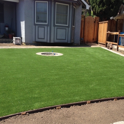 Artificial Grass Carpet Murrieta Hot Springs, California Lawn And Garden, Backyard Designs