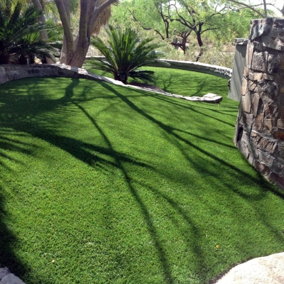Artificial Grass Carpet Sun City, California Design Ideas