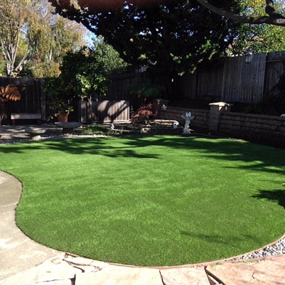Artificial Grass Carpet Valle Vista, California Landscaping, Beautiful Backyards