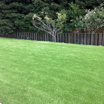 Artificial Grass Carpet Winchester, California City Landscape, Backyard Landscape Ideas