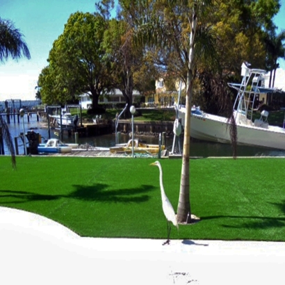 Artificial Grass East Hemet, California Roof Top, Backyard Designs