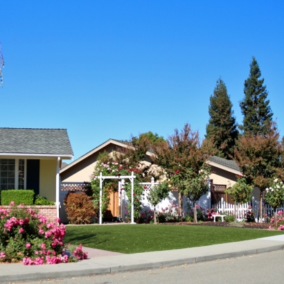 Artificial Grass Hemet, California Home And Garden, Front Yard Ideas