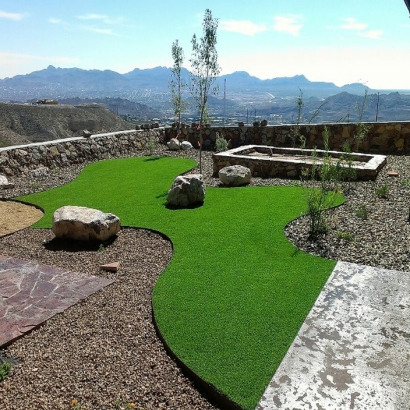 Artificial Grass Indian Wells, California Pictures Of Dogs, Backyard Landscape Ideas