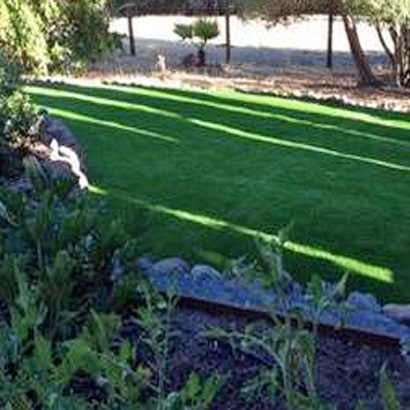 Artificial Grass Lake Elsinore, California Landscape Ideas, Small Backyard Ideas