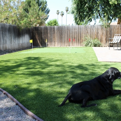 Artificial Grass March Air Force Base, California Watch Dogs, Backyard Landscaping Ideas