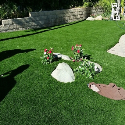 Artificial Grass Mecca, California Lawns, Front Yard Landscape Ideas