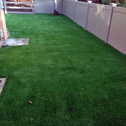 Artificial Grass Mira Loma, California Dog Pound, Backyards