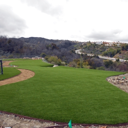 Artificial Grass Norco, California Landscaping