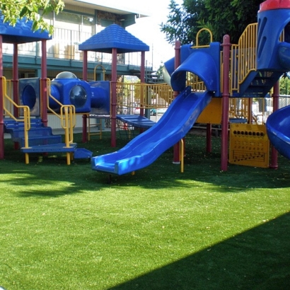 Artificial Lawn Cabazon, California Roof Top, Commercial Landscape