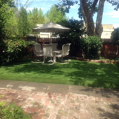 Artificial Lawn Canyon Lake, California City Landscape, Backyard Designs