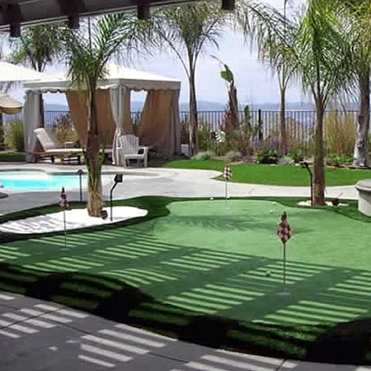 Artificial Lawn East Hemet, California Design Ideas, Backyard Design
